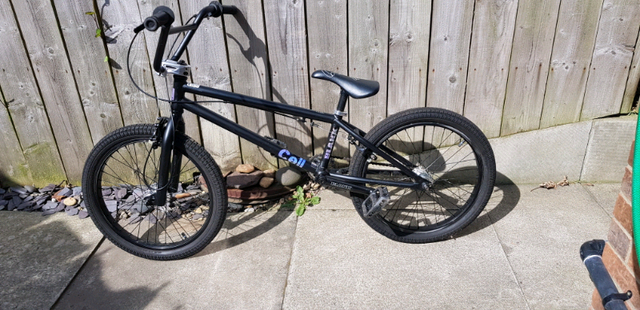 blank cell bmx